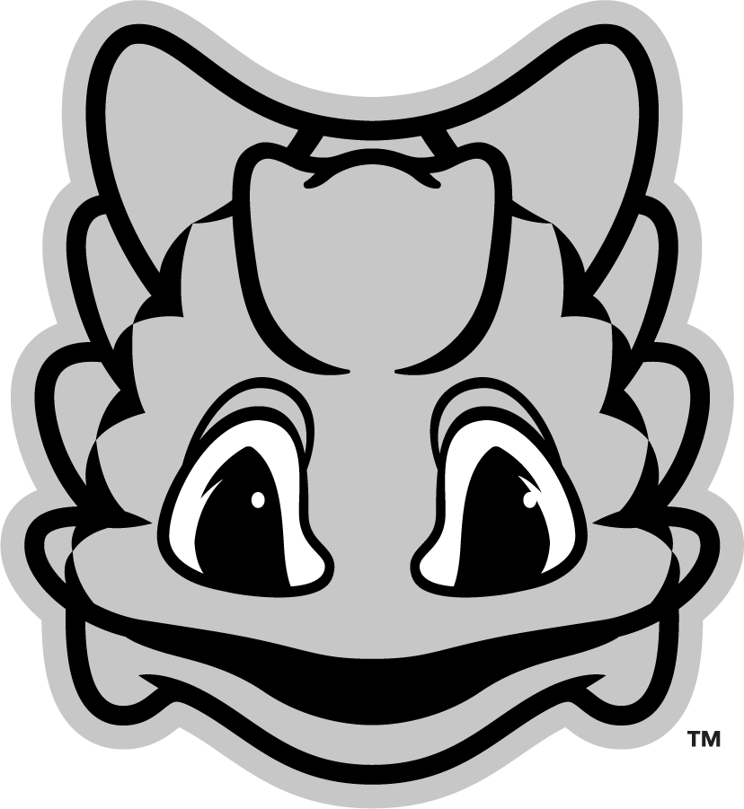 TCU Horned Frogs 2016-Pres Mascot Logo v2 diy iron on heat transfer